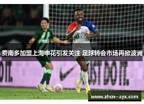 费南多加盟上海申花引发关注 足球转会市场再掀波澜 费南多加盟上海申花引发关注 足球转会市场再掀波澜
