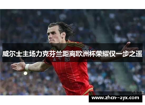 威尔士主场力克芬兰距离欧洲杯荣耀仅一步之遥