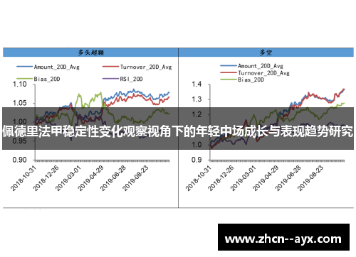 佩德里法甲稳定性变化观察视角下的年轻中场成长与表现趋势研究